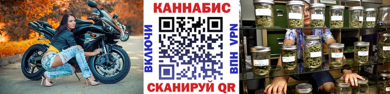 как найти наркотики  Калининград  Каннабис конопля 
